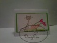 /album/mini-carte-2x3/chat-jpg1/